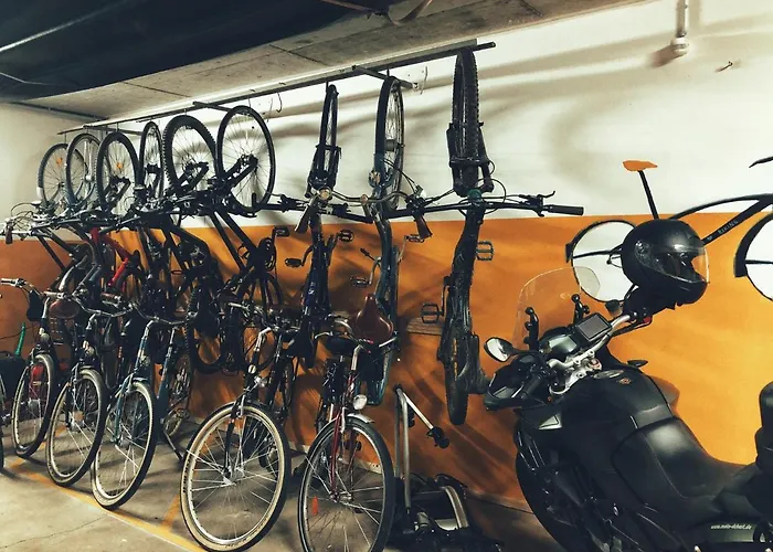 黑熊葡萄酒屋及酒店 科布倫茨