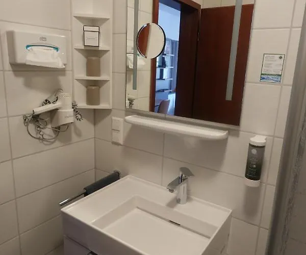 黑熊葡萄酒屋及酒店 3*