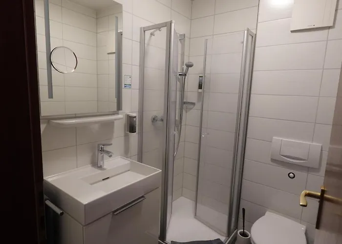 黑熊葡萄酒屋及酒店 3* 科布倫茨